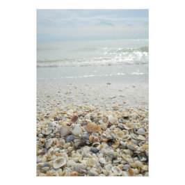 Foto Sanibel Shells