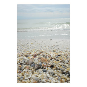 Foto Sanibel Shells