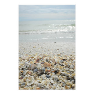 Foto Sanibel Shells