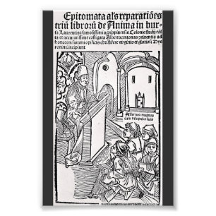 Foto Santo Alberto Magno Doutor Universal da Arte