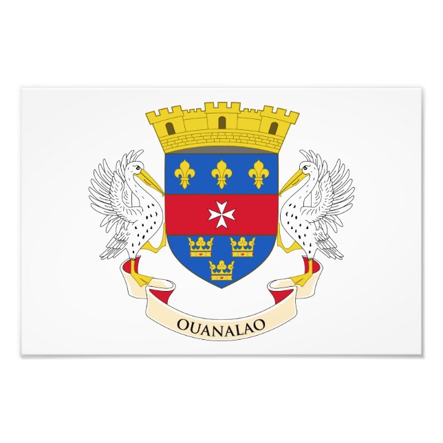 Foto Santo Barthélemy Flag (Frente)