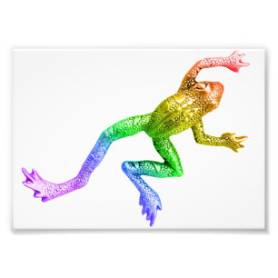 Foto Sapo colorido arco-íris de SlipperyJoe renderizado