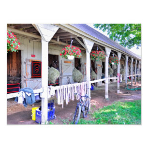 Foto Saratoga Stables "Horse Haven"
