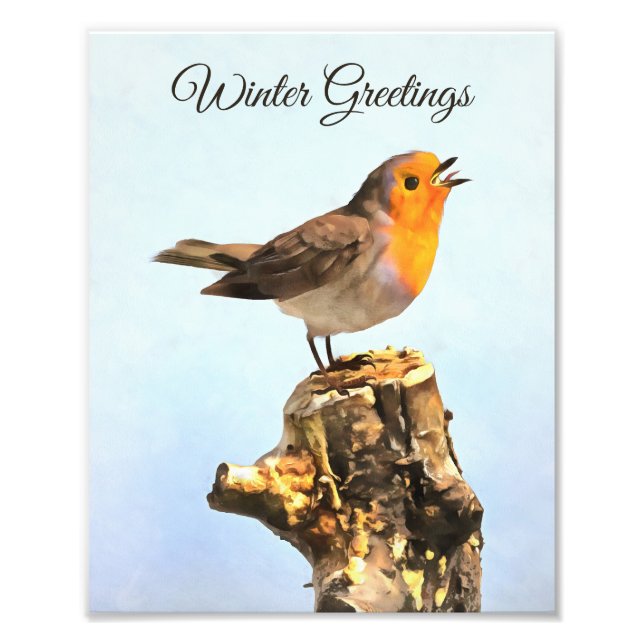 Foto Saudações de Inverno. Robin cantando  (Frente)