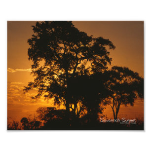 Foto Savannah Sunset