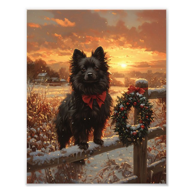 Foto Schipperke Dog Rustic Winter Sunset (Frente)