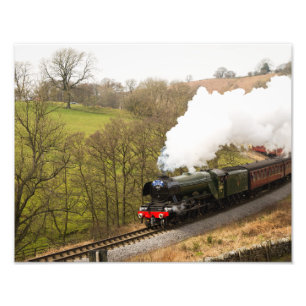 Foto Scotsman do vôo em Goathland
