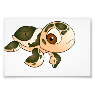 Foto Sea turtle Copy Copy Copy Copy
