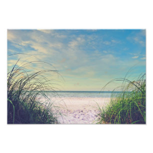 Foto Seagrass On The Beach Print
