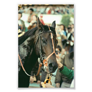 Foto Seattle Slew Thorogenie 1978