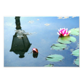 Foto Seerose mit Reflexion der Laterne