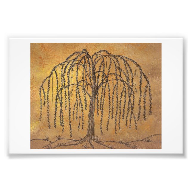 Foto Selvagem (Frente)