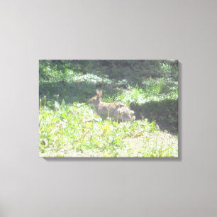 Foto selvagem do coelho em canvas