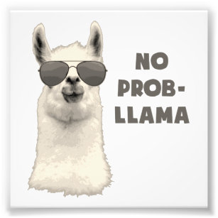 Foto Sem problemas Llama