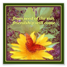 Sementes de Amizade de Borboleta de Girassol