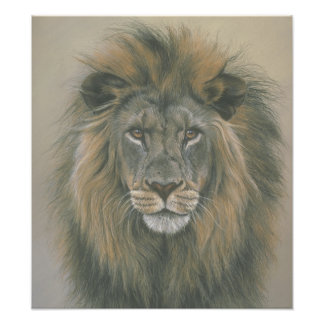 Foto Senhor do Poster do Leão da Selva