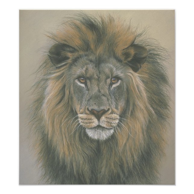 Foto Senhor do Poster do Leão da Selva (Frente)