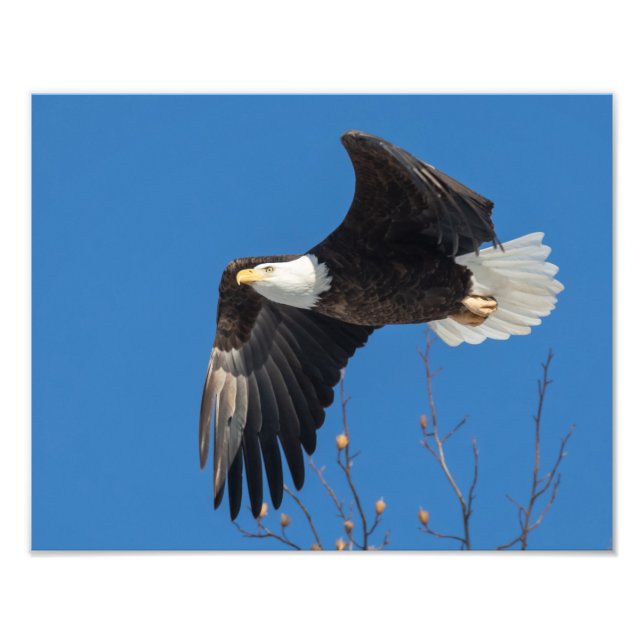 Foto Senhora fina (Frente)