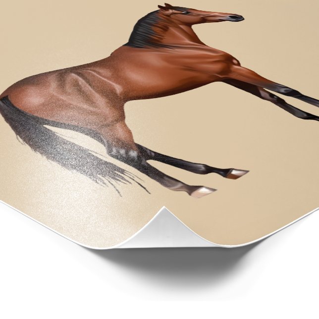 Foto Serafina - braunes Pferd, stehend -  (Borda)