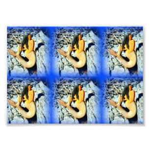 Foto sereias de geleia marítima azul