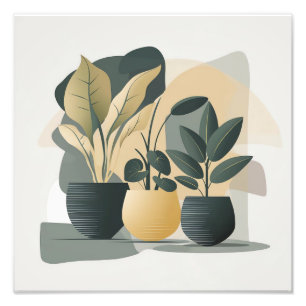 Foto Serene Succulents