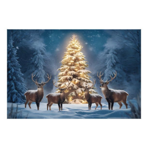 Foto Serene Winter Landscape (Paisagem de Inverno Seren