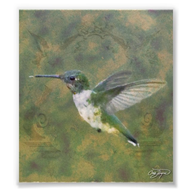 Foto Série Angel Wings (Frente)