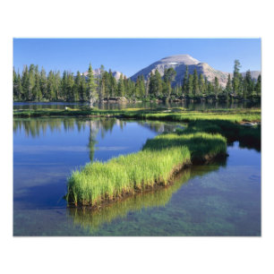 Foto SERRA UINTAS ALTA, FLORESTA NACIONAL, UT, EUA, pen