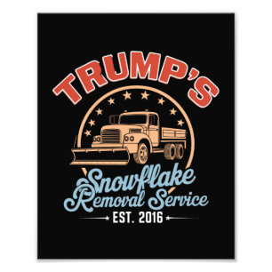 Foto Serviço de Remoção de Flocos de Neve de Trump Trum