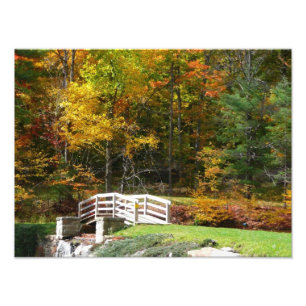 Foto Sete Primaveras Caindo Ponte I Autumn Landscape