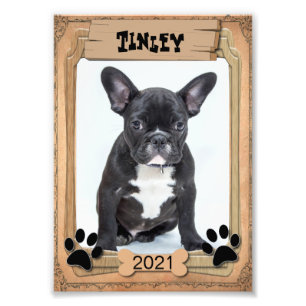 Foto Seu animal de estimação da família - modelo