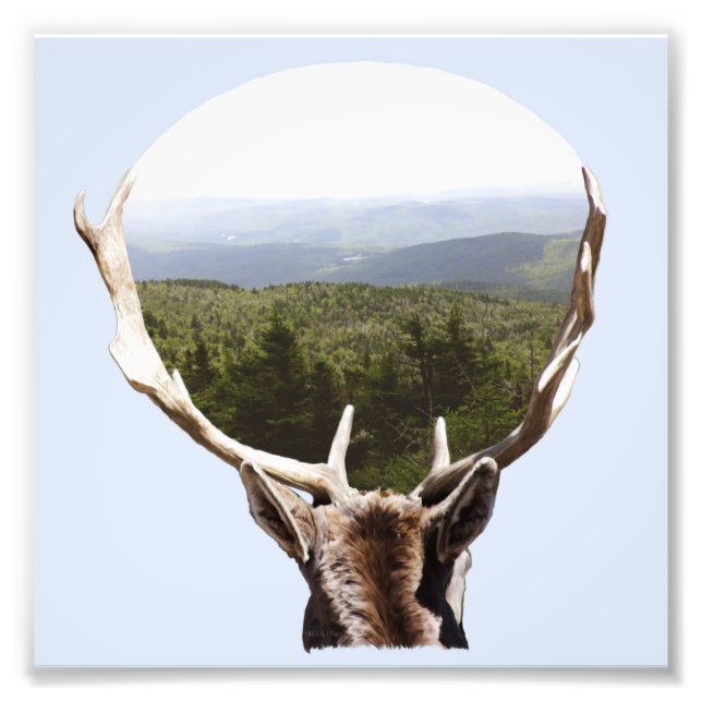 Foto Seu Domínio (Frente)