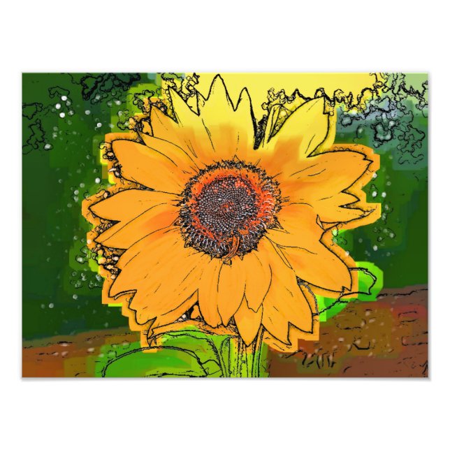 FOTO SFLOWER (Frente)