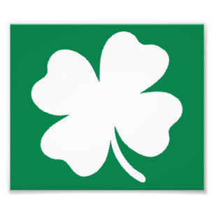 Foto Shamrock Dia de São Patrício Irlanda
