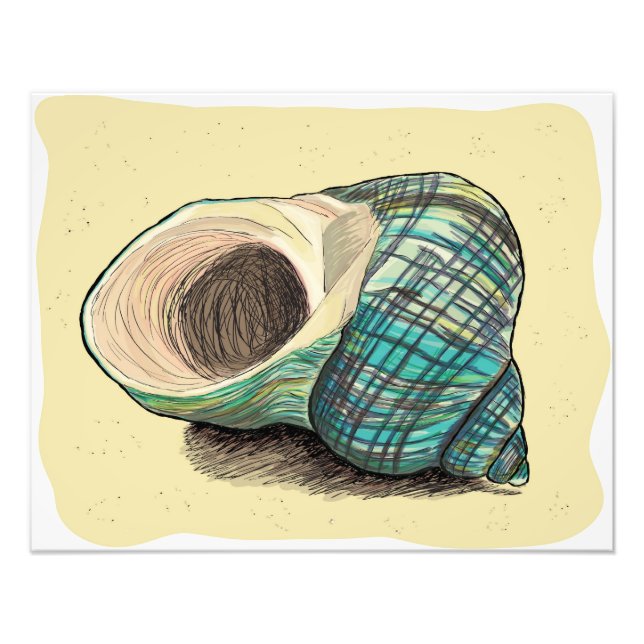 Foto Shell Azul bonito (Frente)