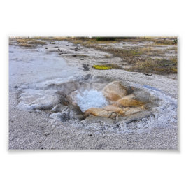 Foto Shell Primavera no Parque Nacional de Yellowstone,