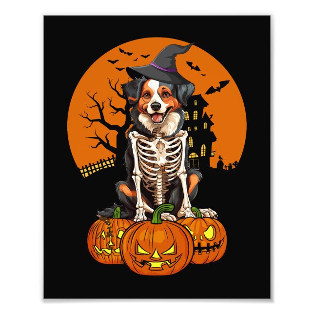 Foto Shepherd Dog Halloween australiano (Frente)