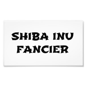Foto shiba inu