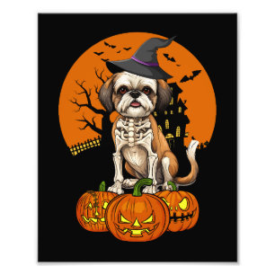Foto Shih Tzu Dog Halloween