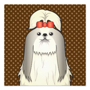 Foto Shih Tzu Dog - Peças de Cartoon
