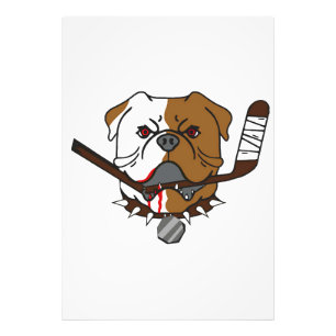 Foto SHORESY Sudbury Bulldogs