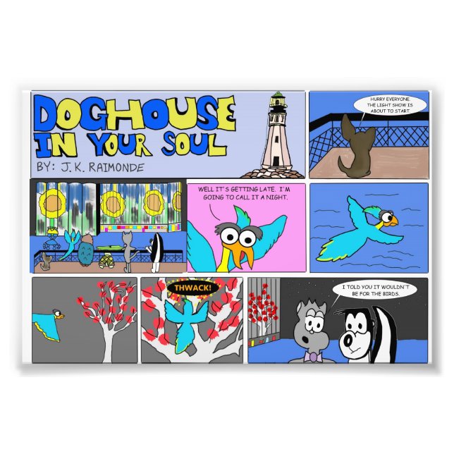 Foto Show de Luz de Buffalo (Frente)