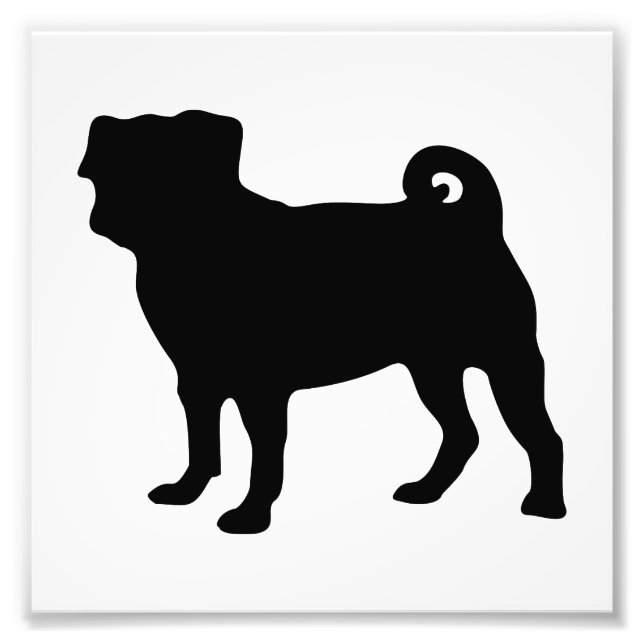 Foto Silhouette Black Pug - Design de vetor simples (Frente)