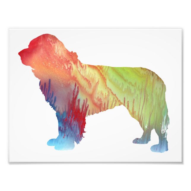 Foto Silhueta colorida da Terra Nova abstrato (Frente)