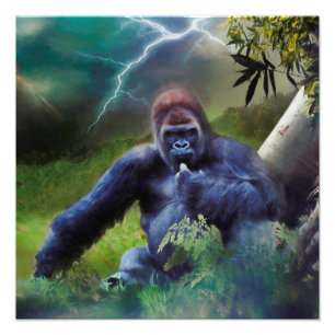 FOTO SILVERBACK GORILLA JUNGLE ENLIGHTENT