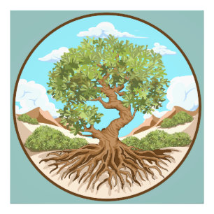 Foto Símbolo de paz da oliveira em terra livre na Pales