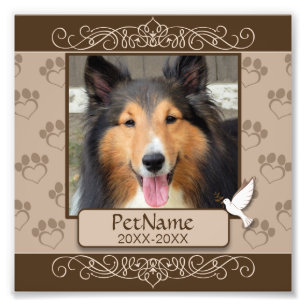 Foto Simpatia feita sob encomenda do animal de