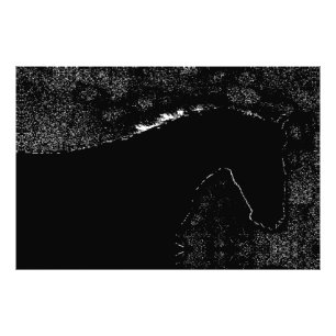 Foto Sinfonia Equina do Crepúsculo