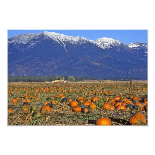 Foto Sistema de Pumpkin em Montana Flathead Valley (Frente)