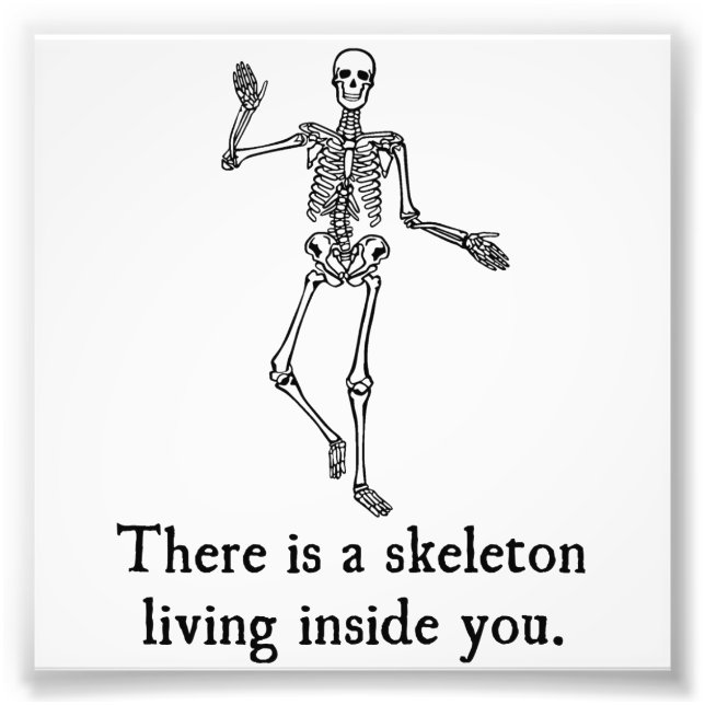 Foto Skeleton Living Dentro (Frente)